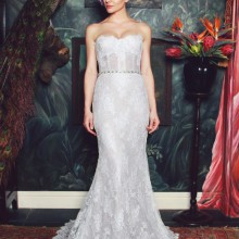 Kobus Dippenaar - New