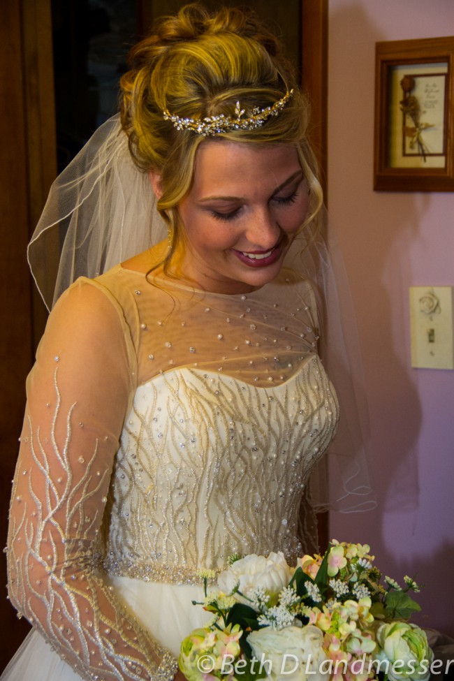 Ball Gown, Ball Gown