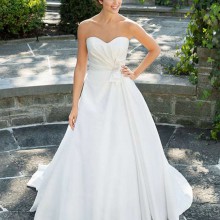 Lee Ann Belter - New