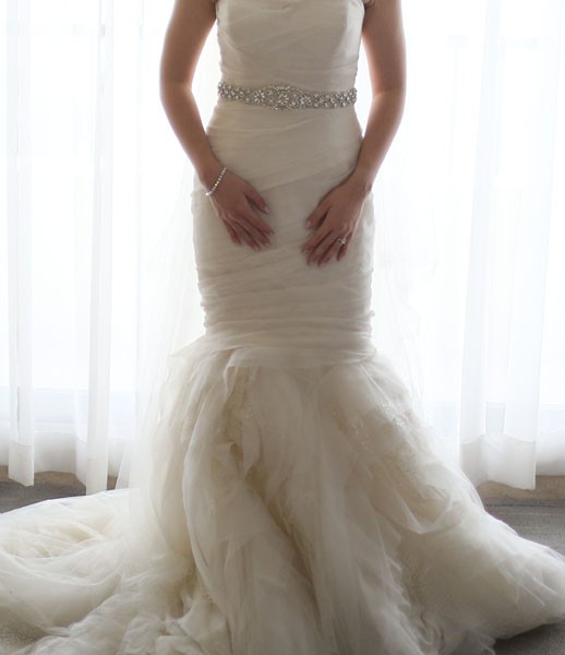 Vera Wang Gemma Used Wedding Dress on Sale 52% Off - Stillwhite