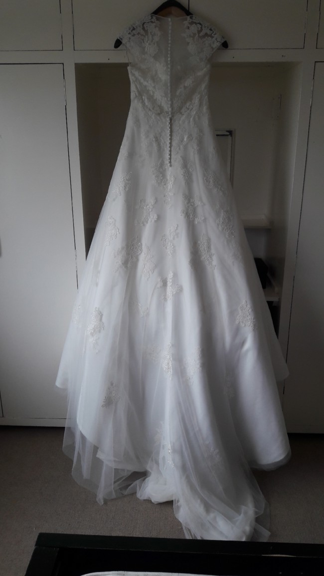 Anna Sorrano, Luciana