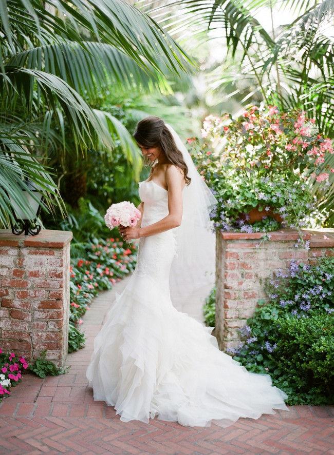 vera wang fawn