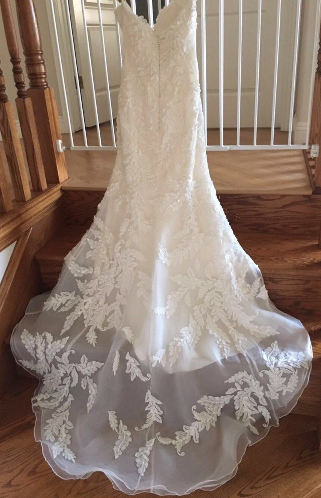 Ysa Makino, CN789691