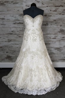 Angelina Faccenda - New