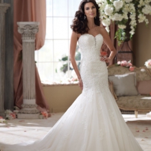 David Tutera