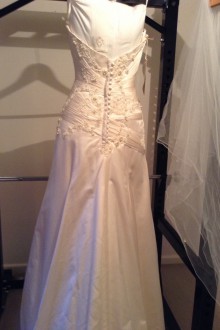 Connie Simonetti - New