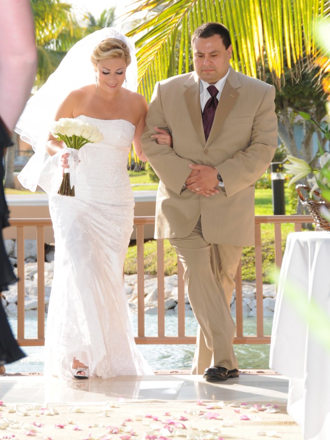 Sottero and Midgley, JSM1235