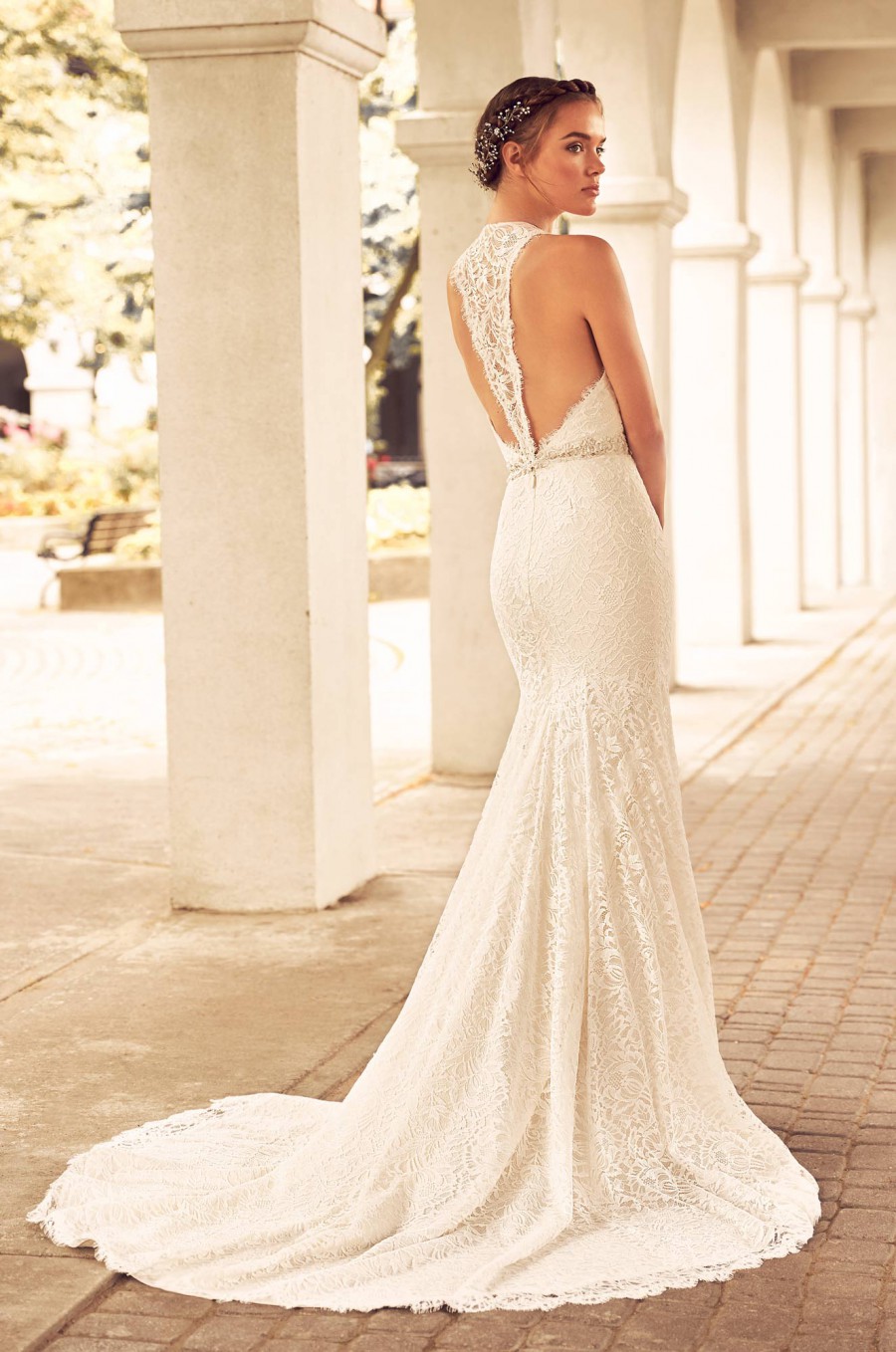 Paloma Blanca Paloma Blanca