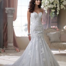 David Tutera - New