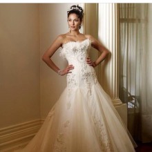 Connie Simonetti - New