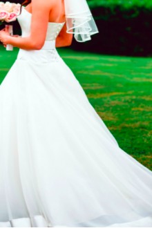 Stephanie Allin - New