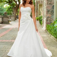 Lee Ann Belter - New