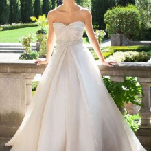 Lee Ann Belter - New