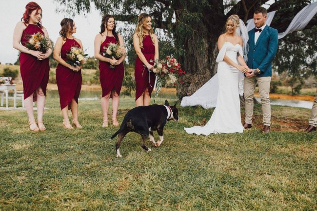 Q'nique Bridal, A-Line