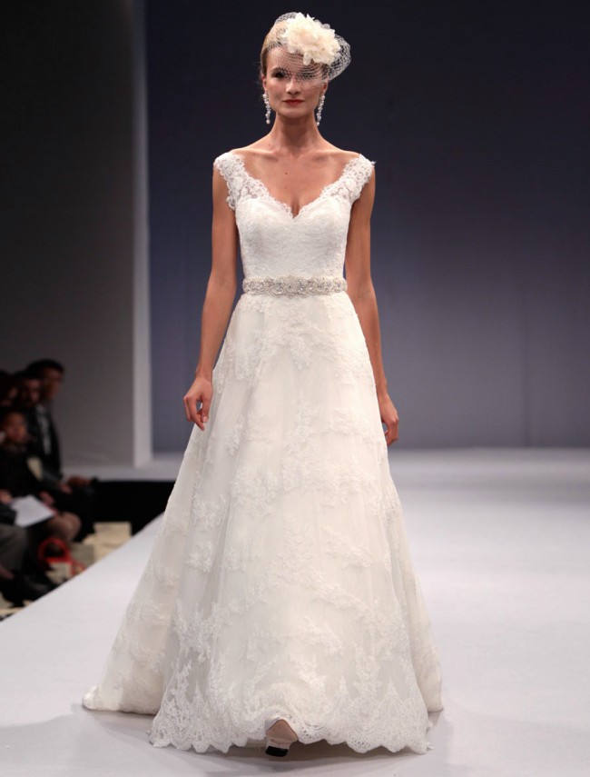 Anne Barge, Delphine