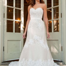 Lee Ann Belter - New