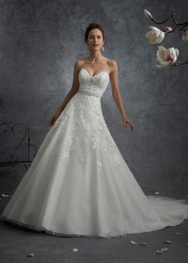 Sophia Tolli, A-Line
